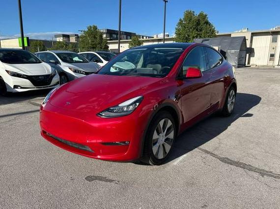 TESLA MODEL Y 2021 5YJYGDEE0MF136873 image